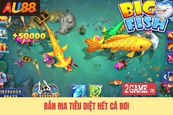 Bắn ria tiêu diệt hết cá bơi