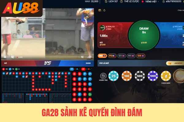 GA28 sảnh kê quyền đình đám